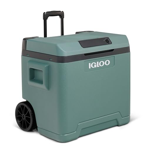 IGLOO elektrische Kühlbox IE42 für Auto und...
