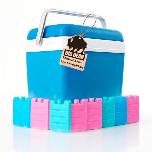 Kühlbox inkl. 12 Kühlakkus 24 Liter...