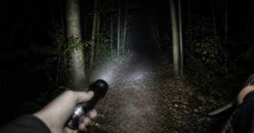 Taschenlampe leuchtet auf einen Waldweg