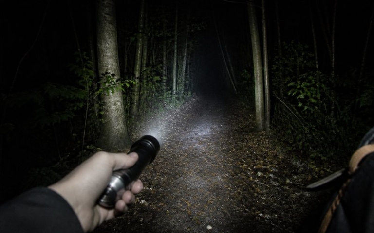Taschenlampe leuchtet auf einen Waldweg